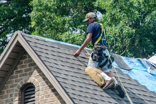 Best New Roof Installation  in Vincent, AL